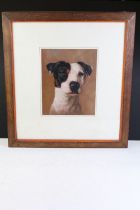 Oak Framed Oil on Board Portrait Head Study of a Jack Russell Terrier, 24.5cm x 20cm