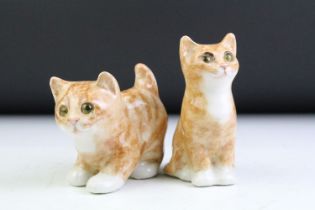 Two Winstanley Pottery Ginger Cats, size 1, with glass eye, to include a seated and standing