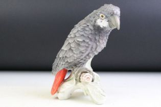 20th Century Goebel porcelain model of an African Grey Parrot perched on a leafy branch, model no.