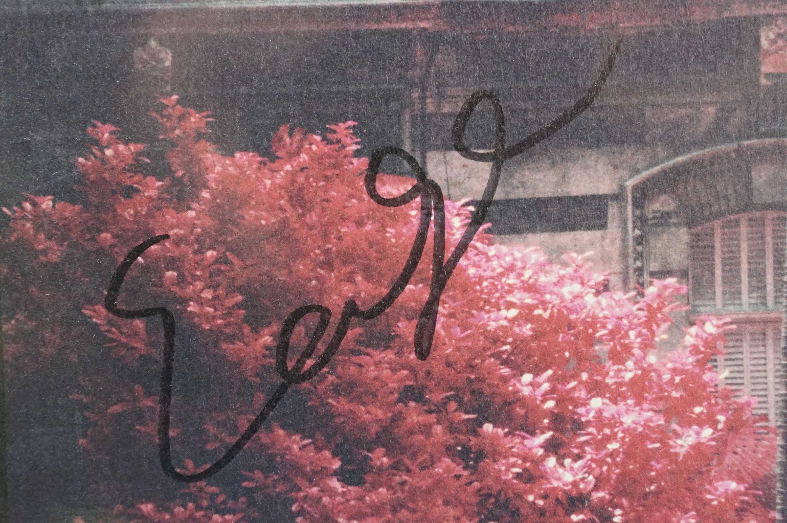 Vinyl & Autographs - 4 sealed Foals LPs to include Everything Not Saved Will Be Lost ltd edition - Image 7 of 15