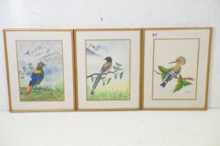 C.B.S Dangol, set of Three Watercolour Studies of Exotic Birds in their habitat