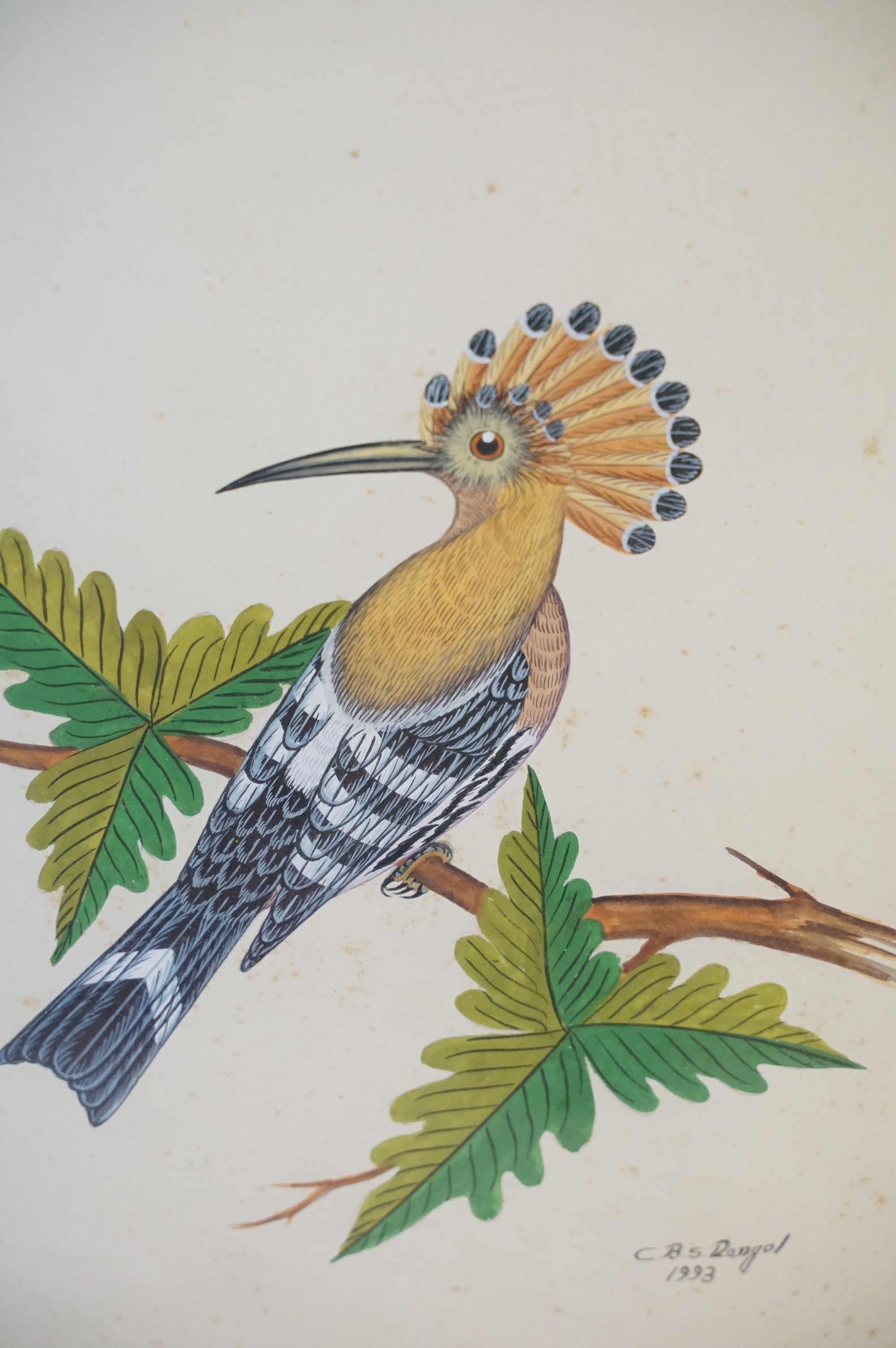 C.B.S Dangol, set of Three Watercolour Studies of Exotic Birds in their habitat - Image 7 of 9