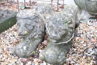 Pair of reconstituted stone recumbent lion garden statues, measure approx 57cm long