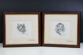 David Shepherd (1931 - 2017), lion, tiger, prints, each mount signed in pencil lower right, each