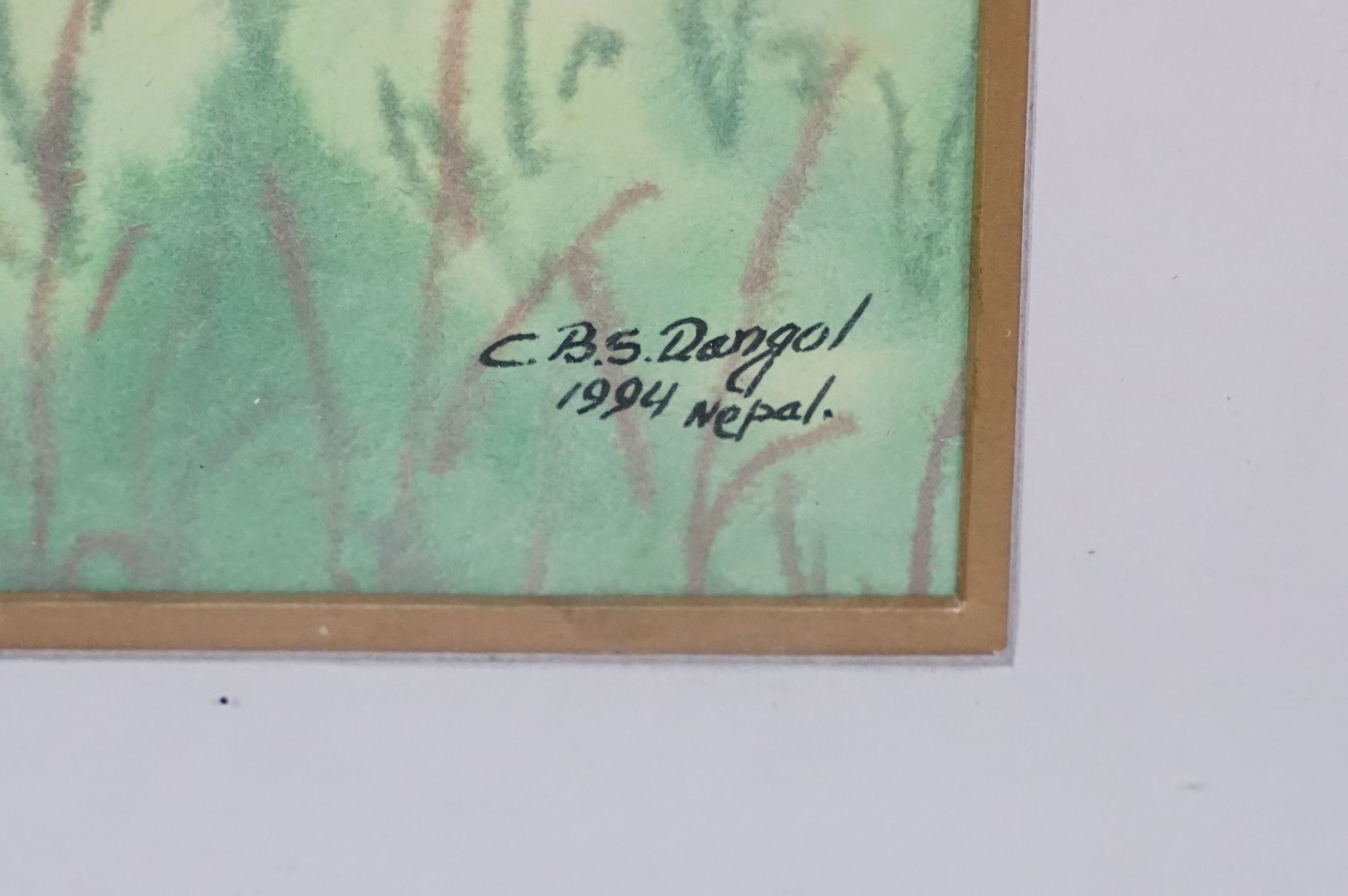 C.B.S Dangol, set of Three Watercolour Studies of Exotic Birds in their habitat - Image 6 of 9