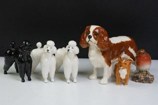 Group of Beswick ceramic dog figurines to include three poodles, a corgi, cavalier king charles
