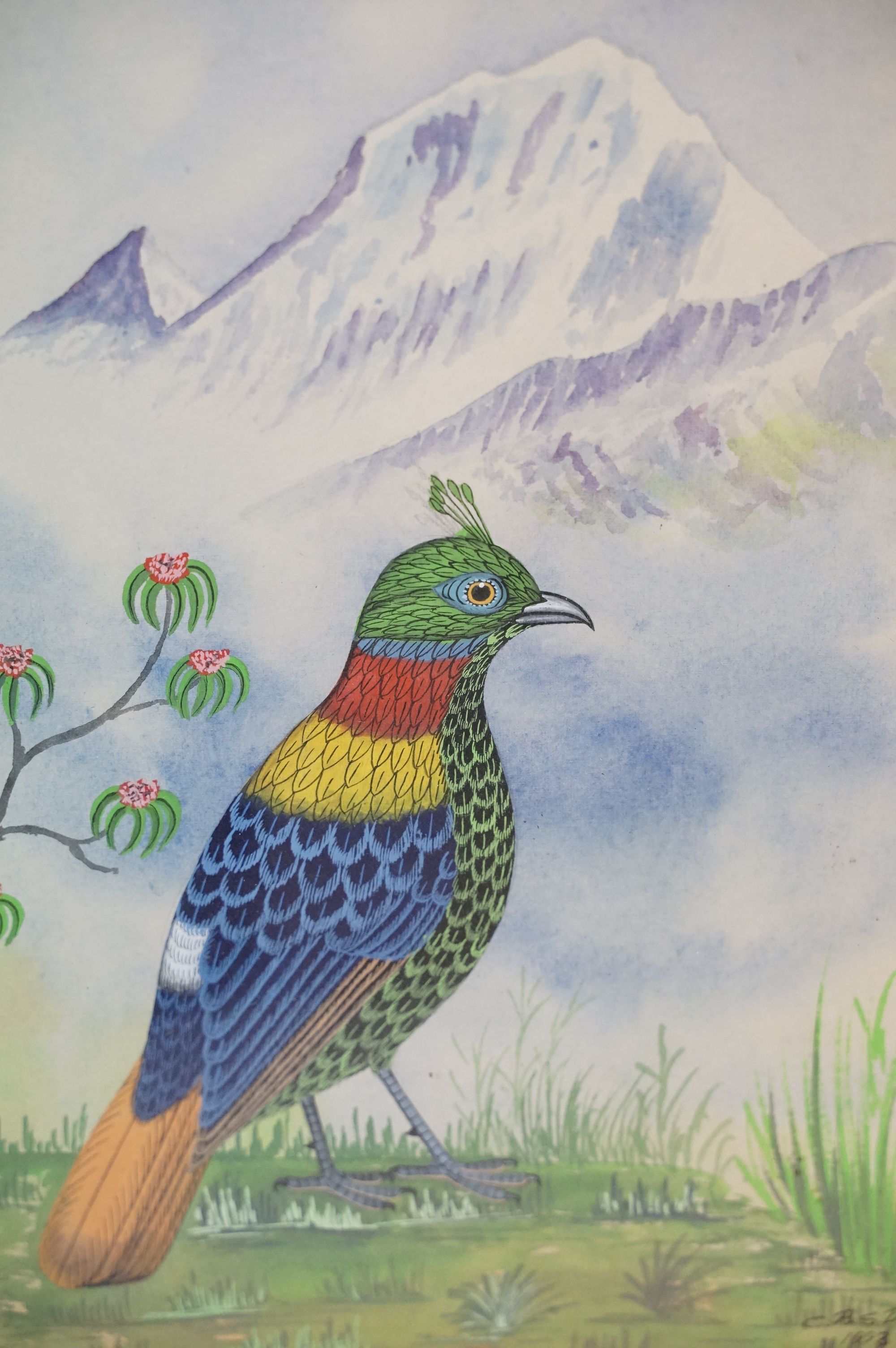 C.B.S Dangol, set of Three Watercolour Studies of Exotic Birds in their habitat - Image 2 of 9