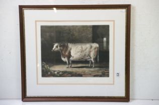 After Percy Forster and Thomas Landseer ' Portrait of the celebrated short horned cow bracelet'