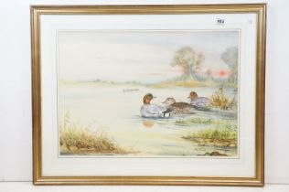 Large watercolour of teal in a natural setting, signed Ian Bowles