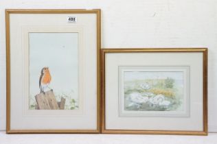 Jeremy Paul wildlife watercolour painting depicting a robin together with a water colour of swans.