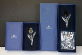 Two Boxed SCS Swarovski Crystal Society membership gifts to include red tulip (with miniature