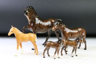 Five Beswick porcelain horses / foals to include four brown gloss examples (prancing stallion,