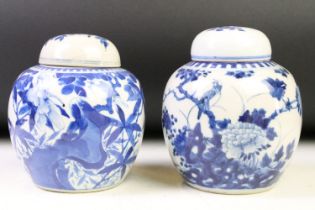 Two Chinese blue & white ceramic ginger jars with covers, decorated with flowers and birds perched