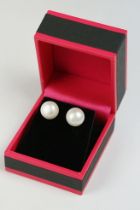 Pair of Freshwater Pearl Studs on Silver Posts