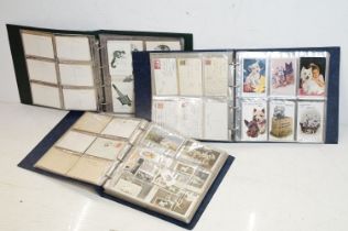 Three albums of early 20th century postcards to include two albums of dog postcards and an album