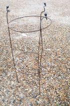 Wrought Iron Circular Garden Plant Support, 41cm diameter x 104cm high