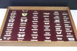 Taxidermy - A mid 20th C presentation of over 40 butterfly & moth specimens, with name tags,