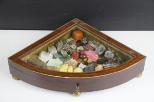 Collection of minerals / crystals featuring Rhodochrocite, Pyrite, geodes, etc, housed within a