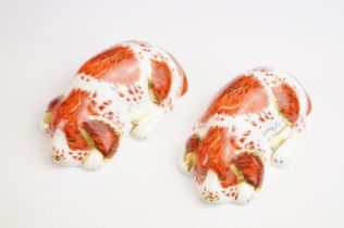 Two Royal Crown Derby Exclusive Collectors Guild King Charles Spaniel puppies, both with gold
