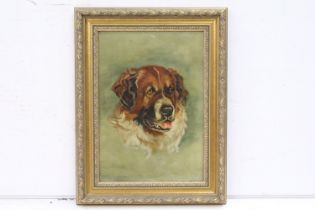 20th century English School, portrait of a dog, oil on canvas, 34.5 x 24cm, gilt framed