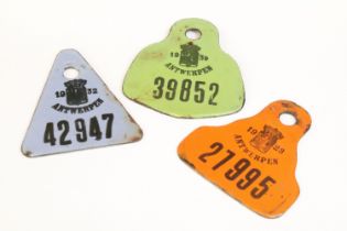 A collection of three coloured registration identification plated, all marked for Antwerpen dating