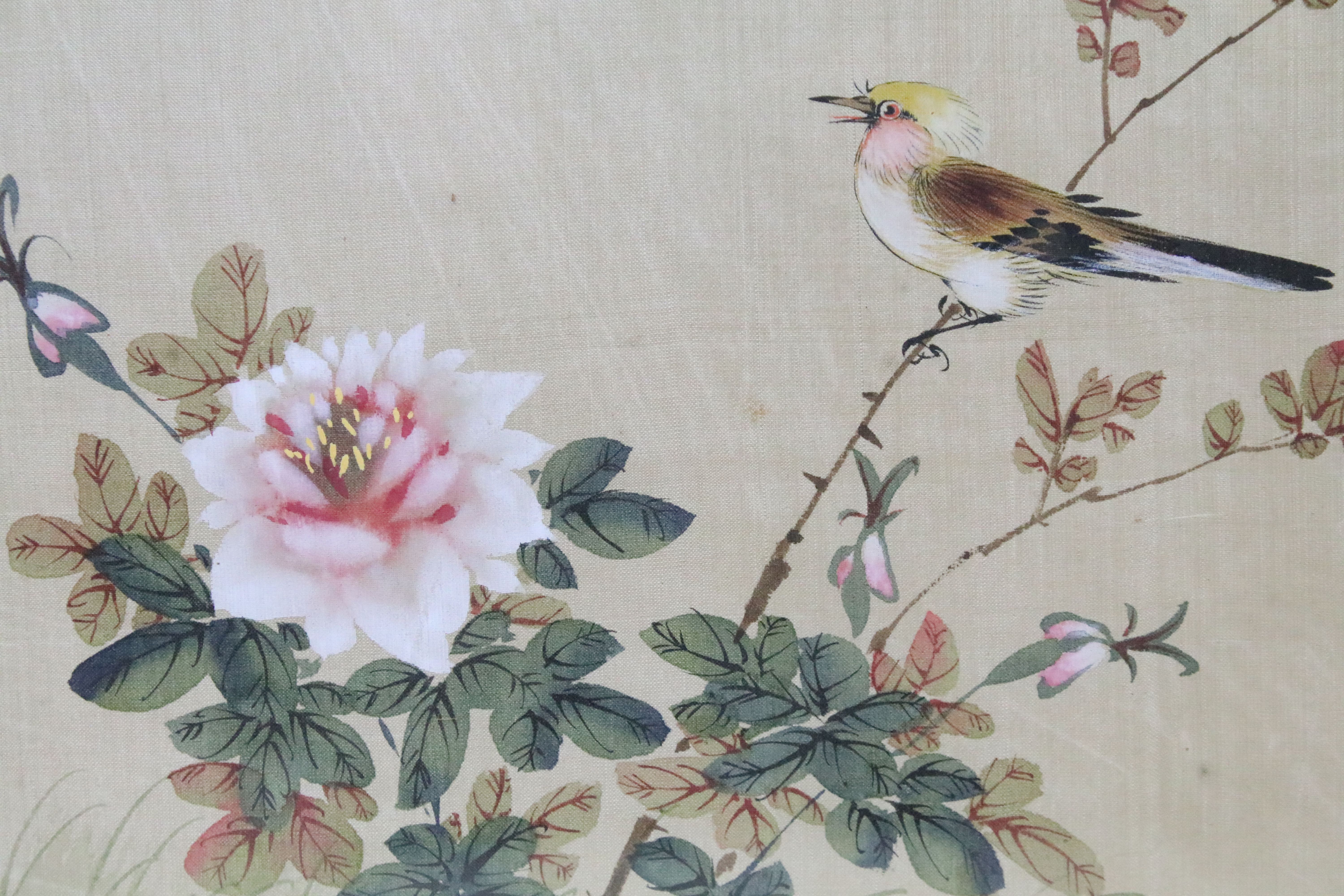 Chinese School, bird on a branch with berries and another similar, a pair, printed and painted on - Image 5 of 8