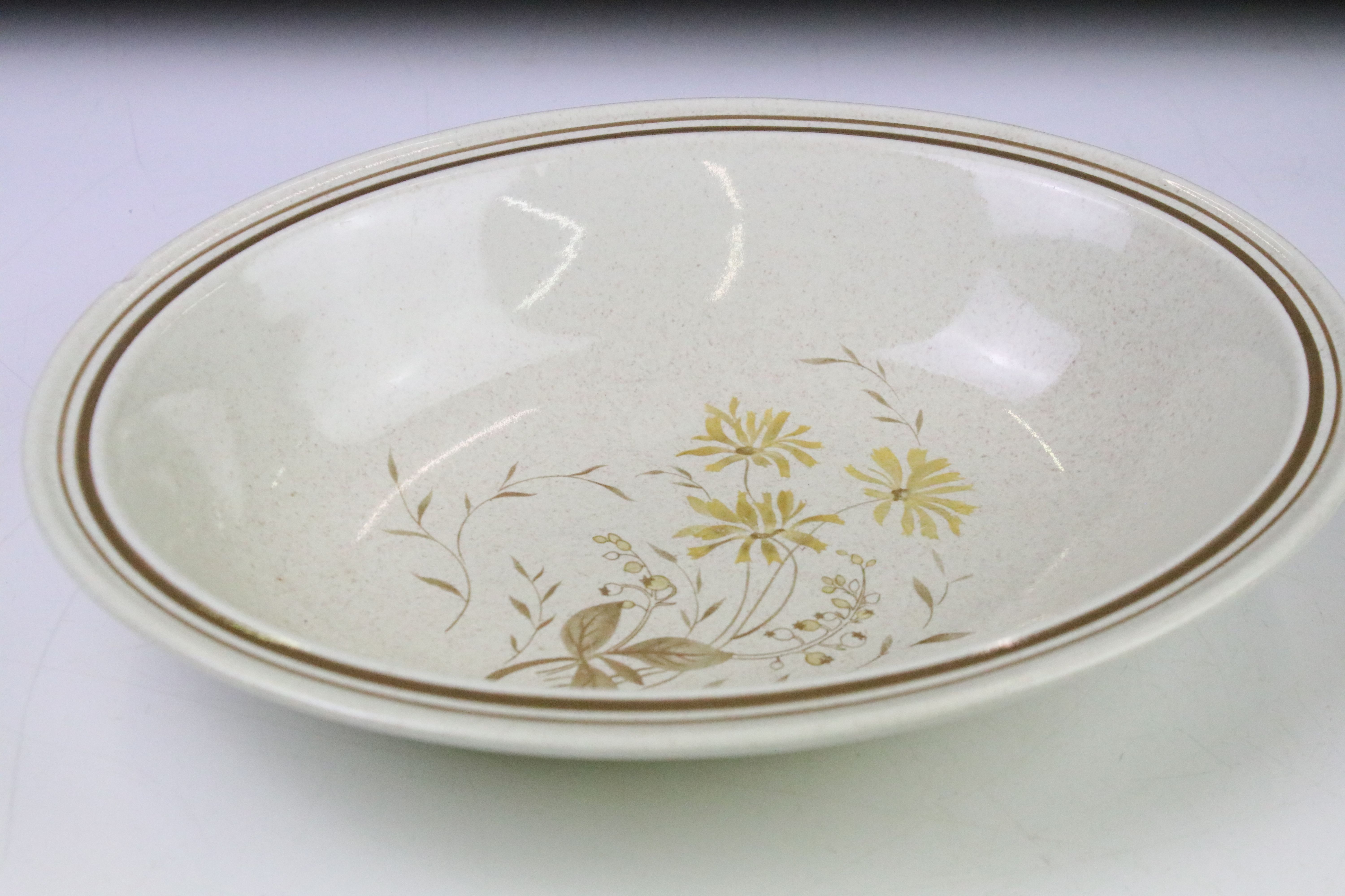 Royal Doulton Lambeth stoneware Sandsprite extensive dinner service to include meat platter, - Image 11 of 22