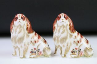 Pair of Royal Crown Derby Cavalier King Charles Spaniel paperweights with gold stoppers