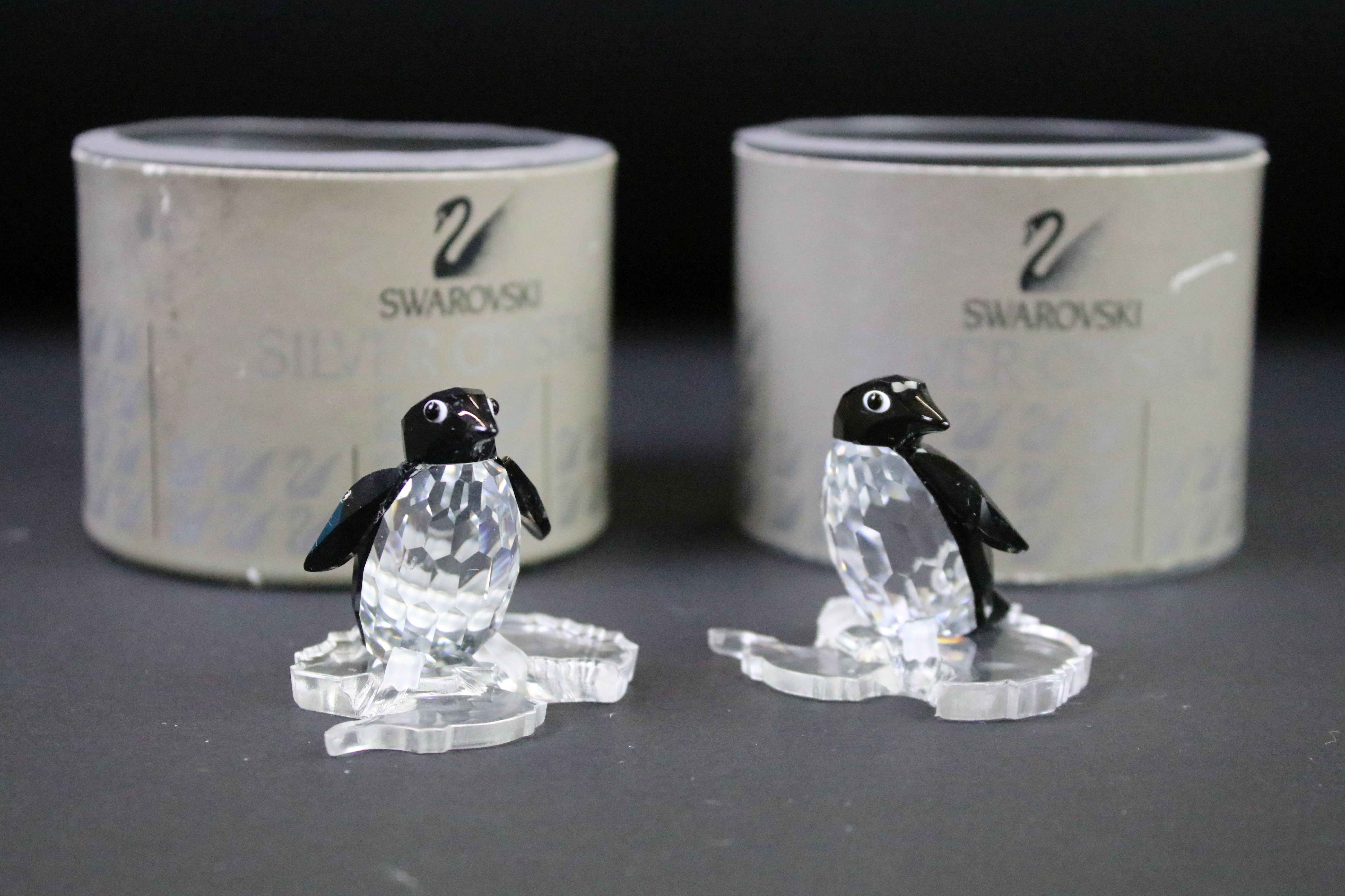 Six boxed Swarovski Silver Crystal animals to include 12261 Sea Lion, 221120 Baby Sea Lion, 191448 - Image 4 of 13