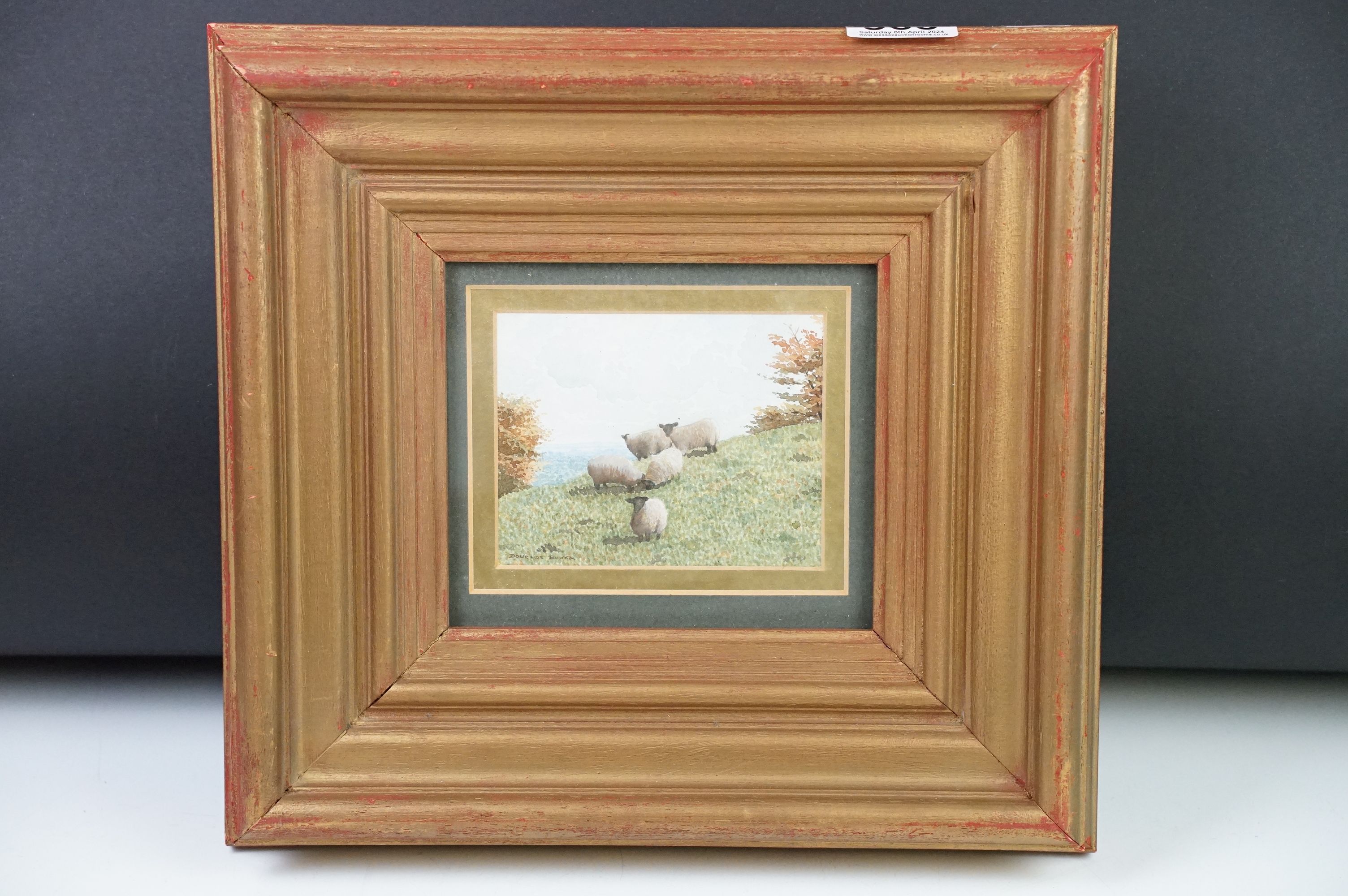 Douglas Bower 20th century gilt framed watercolour titled "Sheep on the Hampshire downs" signed, 9 x