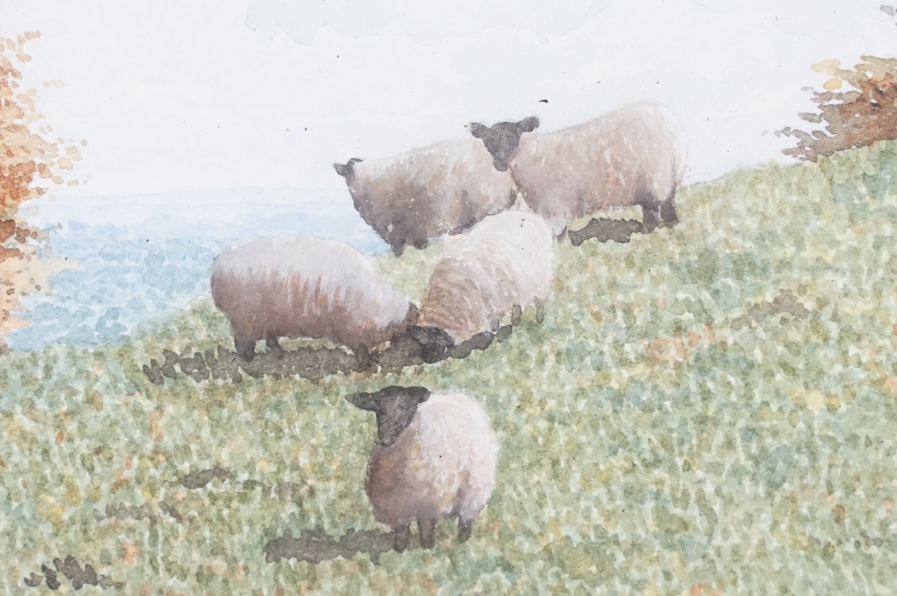 Douglas Bower 20th century gilt framed watercolour titled "Sheep on the Hampshire downs" signed, 9 x - Image 3 of 10