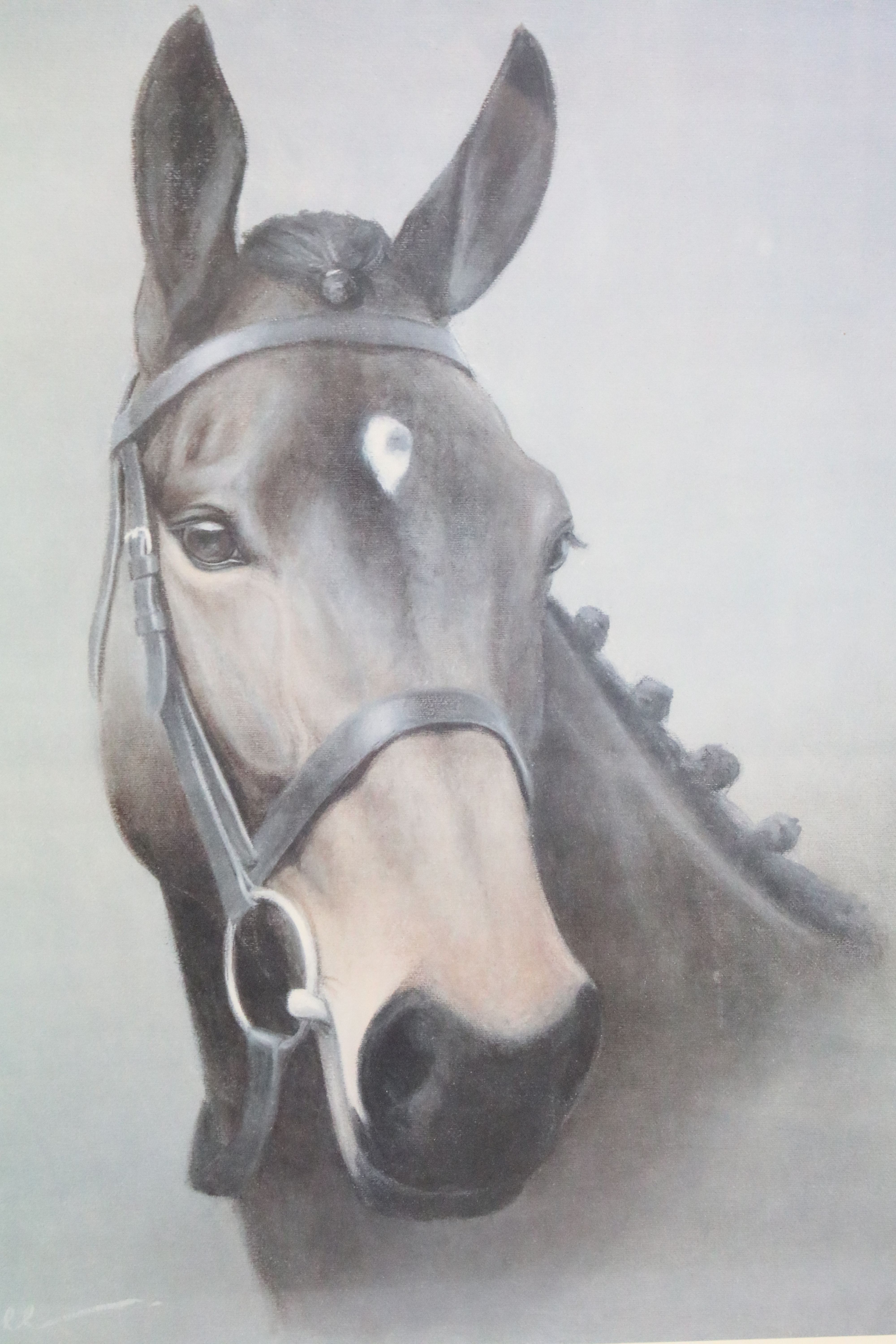 Three limited edition equestrian related signed limited edition prints of horses to include 'Classic - Image 3 of 6