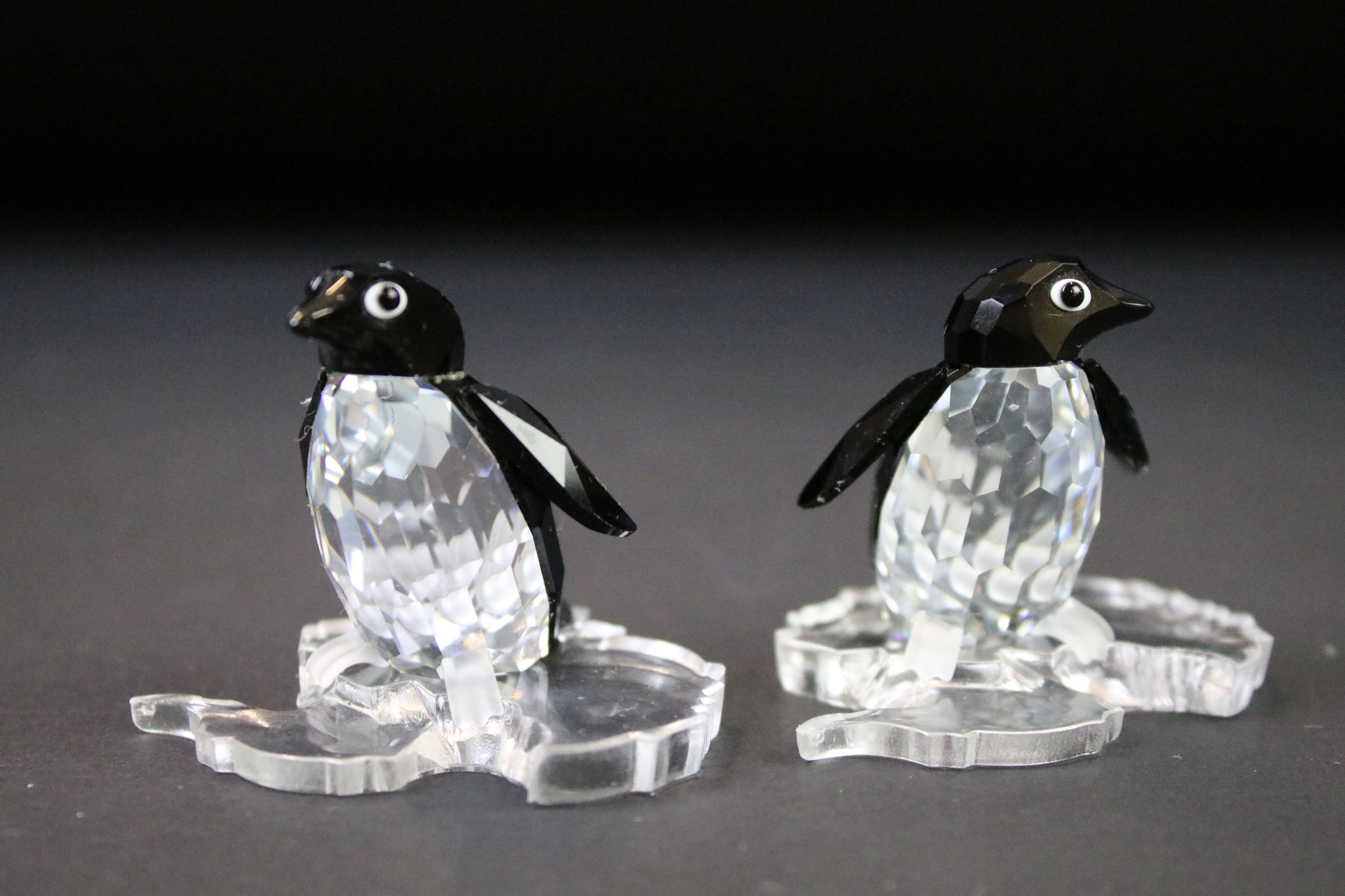 Six boxed Swarovski Silver Crystal animals to include 12261 Sea Lion, 221120 Baby Sea Lion, 191448 - Image 5 of 13