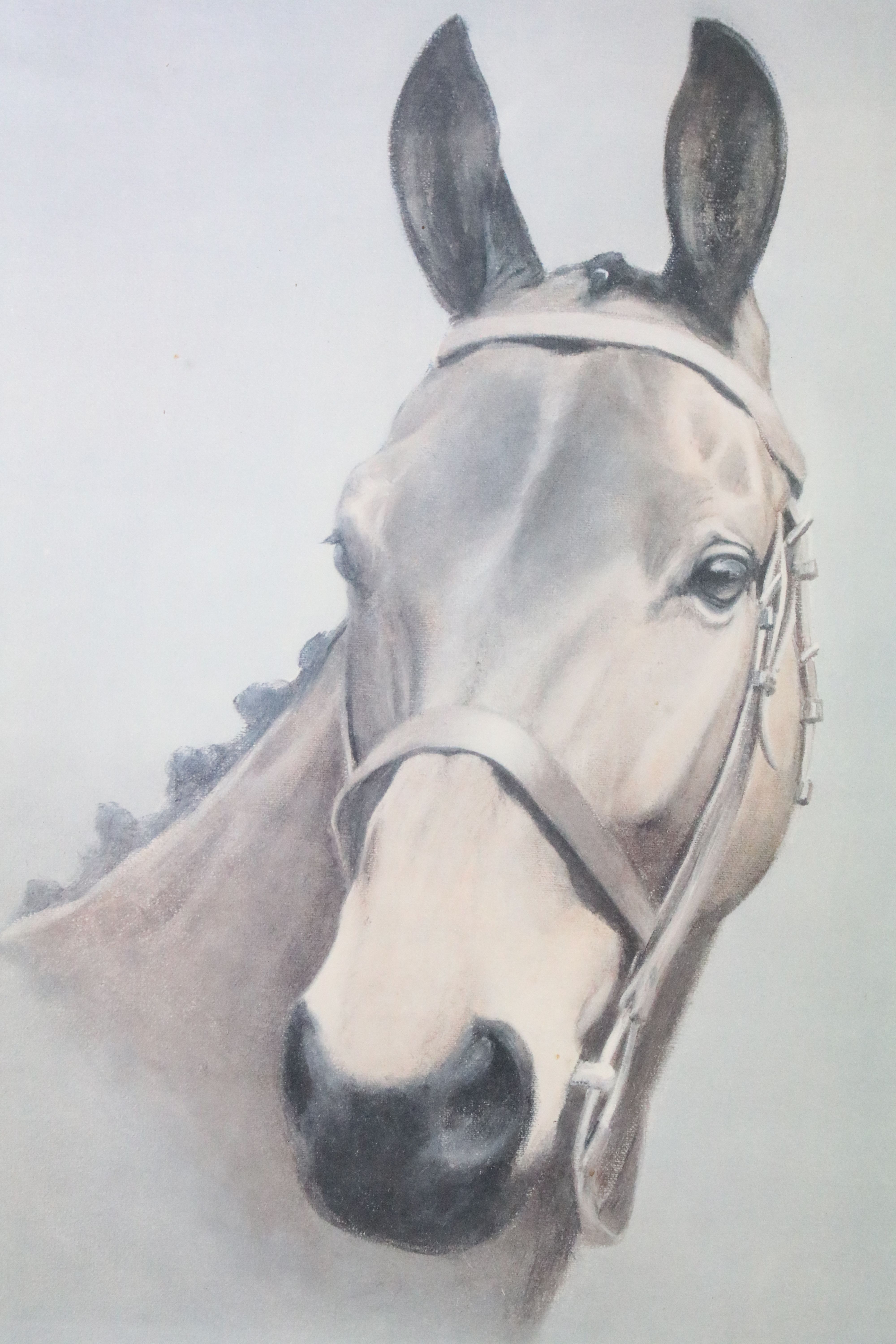 Three limited edition equestrian related signed limited edition prints of horses to include 'Classic - Image 2 of 6