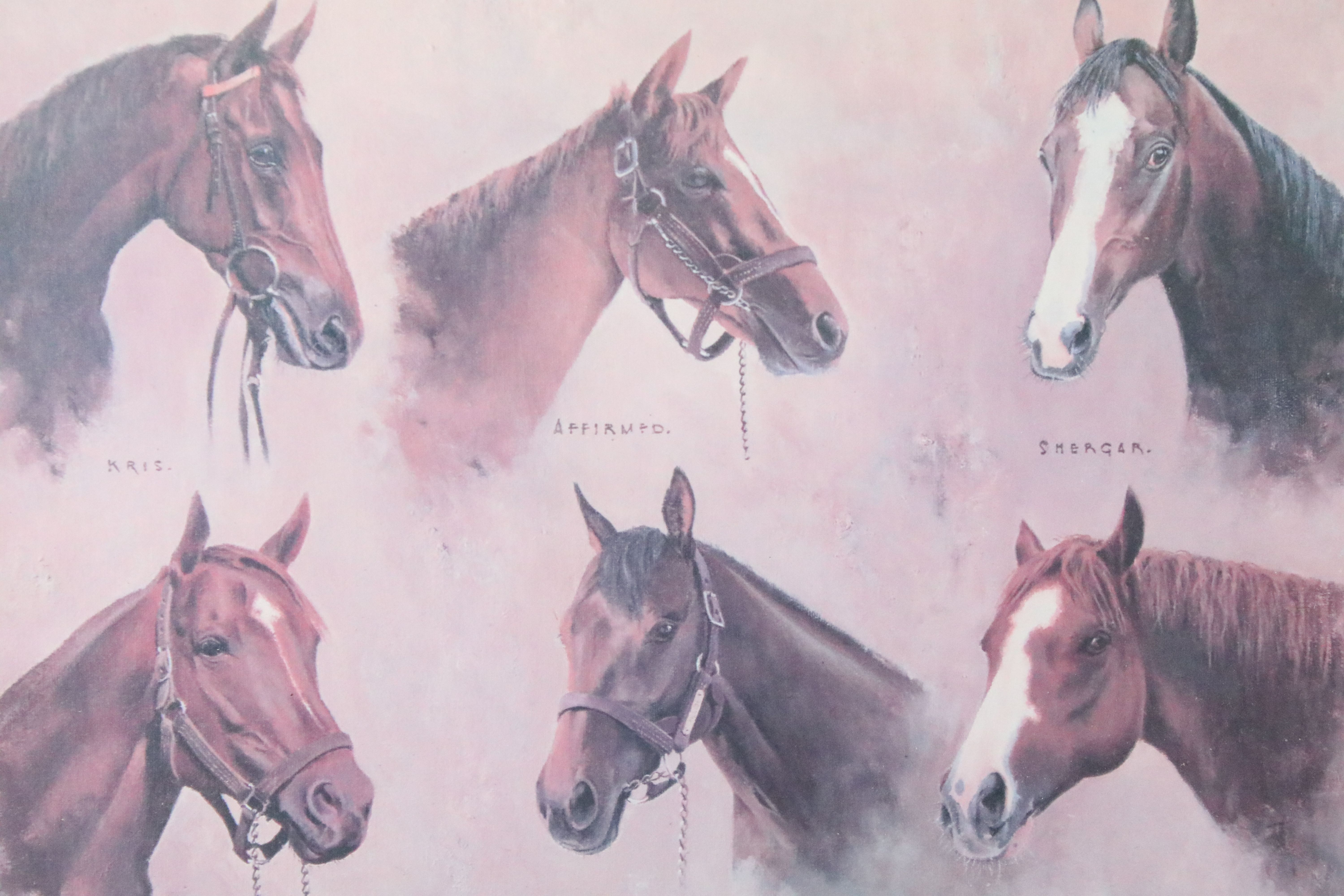 Three limited edition equestrian related signed limited edition prints of horses to include 'Classic - Image 4 of 6