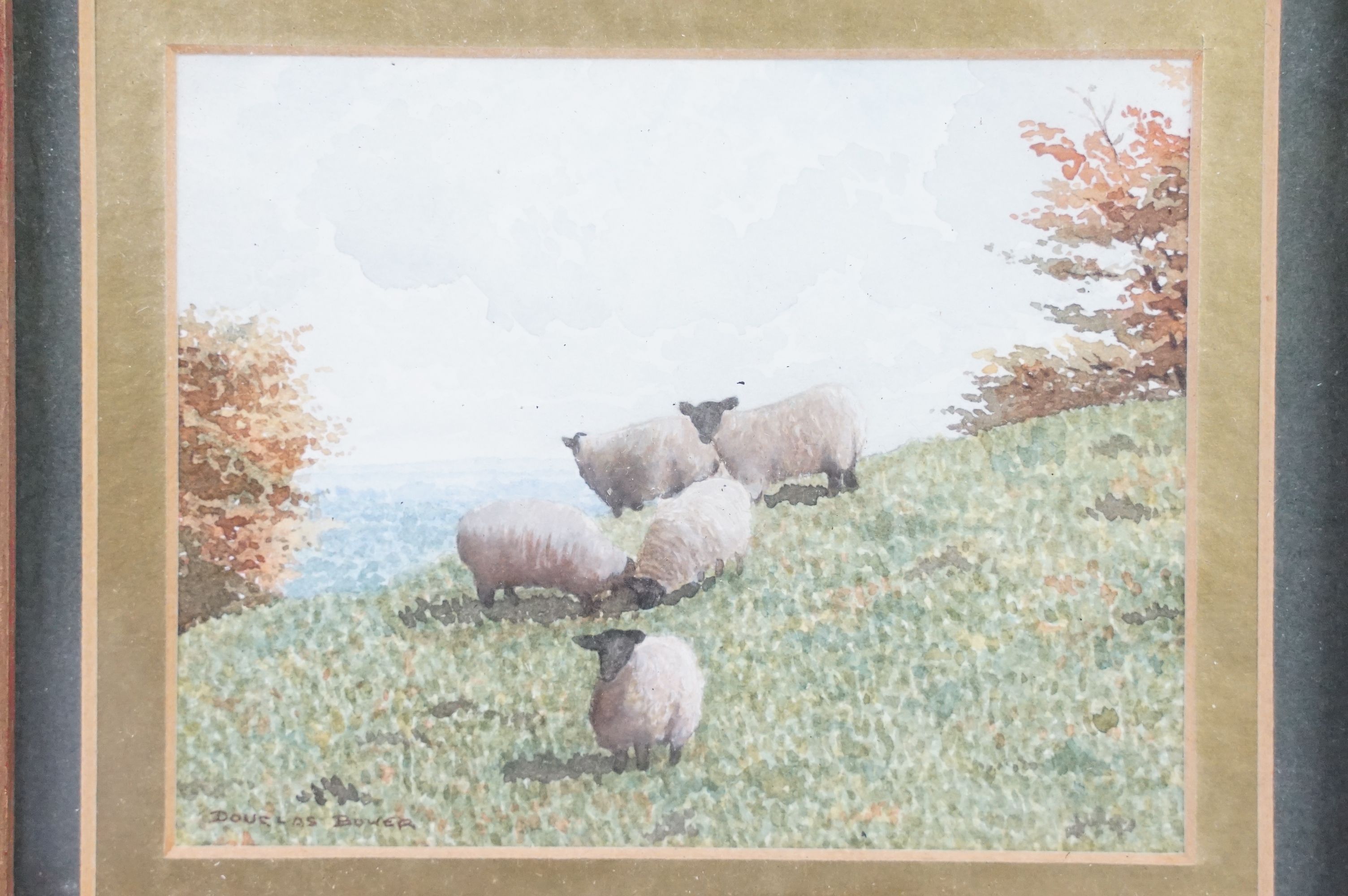 Douglas Bower 20th century gilt framed watercolour titled "Sheep on the Hampshire downs" signed, 9 x - Image 2 of 10