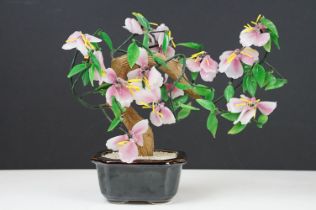 Chinese Cherry Blossom Bonsai Tree in a brown glazed ceramic bowl, approx 28cm high