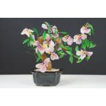 Chinese Cherry Blossom Bonsai Tree in a brown glazed ceramic bowl, approx 28cm high