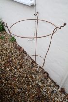 Wrought Iron Circular Garden Plant Support, 56cm diameter x 105cm high