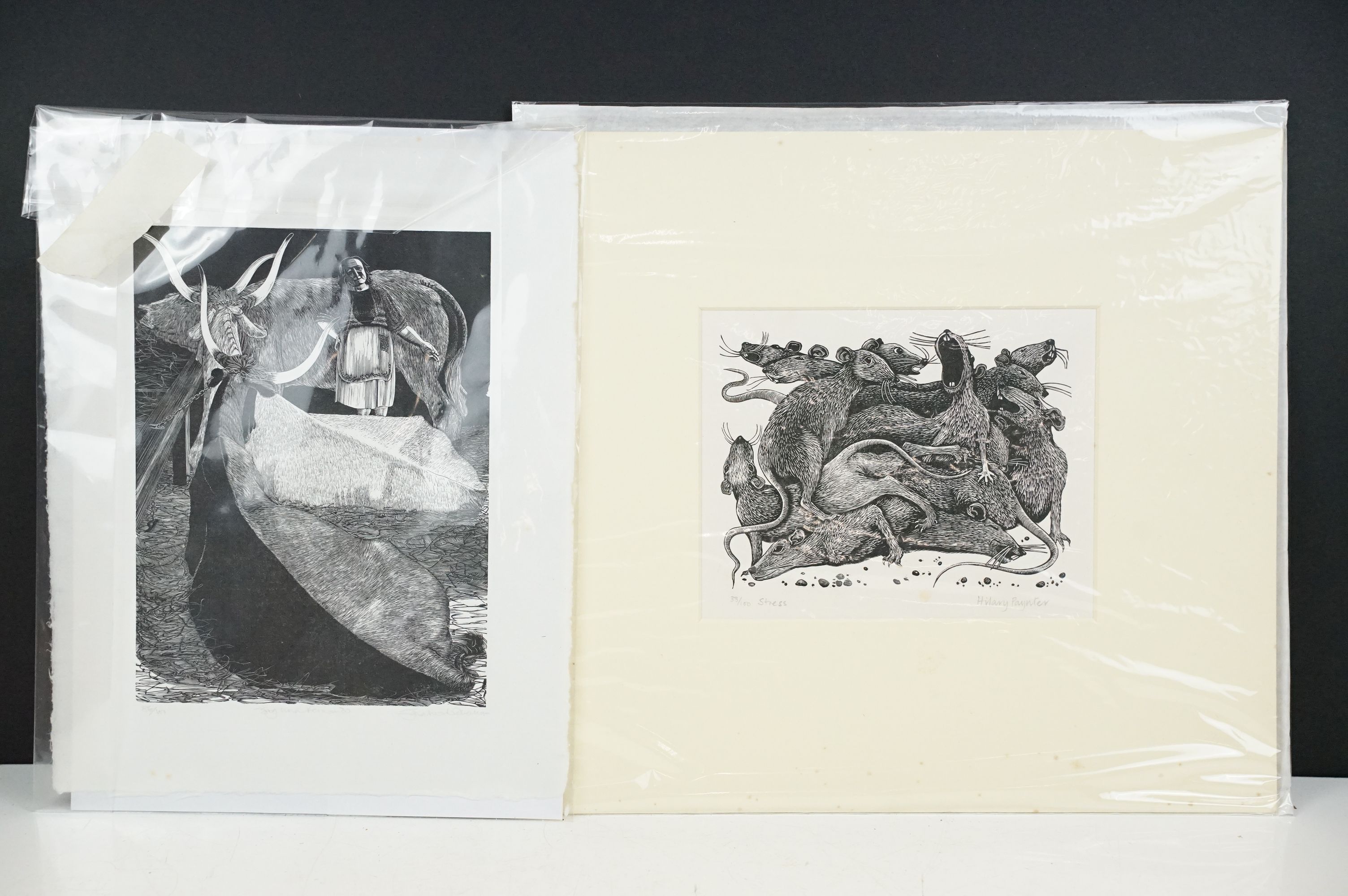 Sarah van Niekerk (1934 - 2018) - limited edition wood block print on paper titled Signora Fernando,