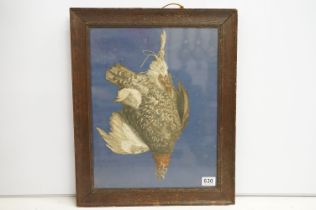 19th C French framed and glazed collage study of dead game grouse birds French label to verso, 44.