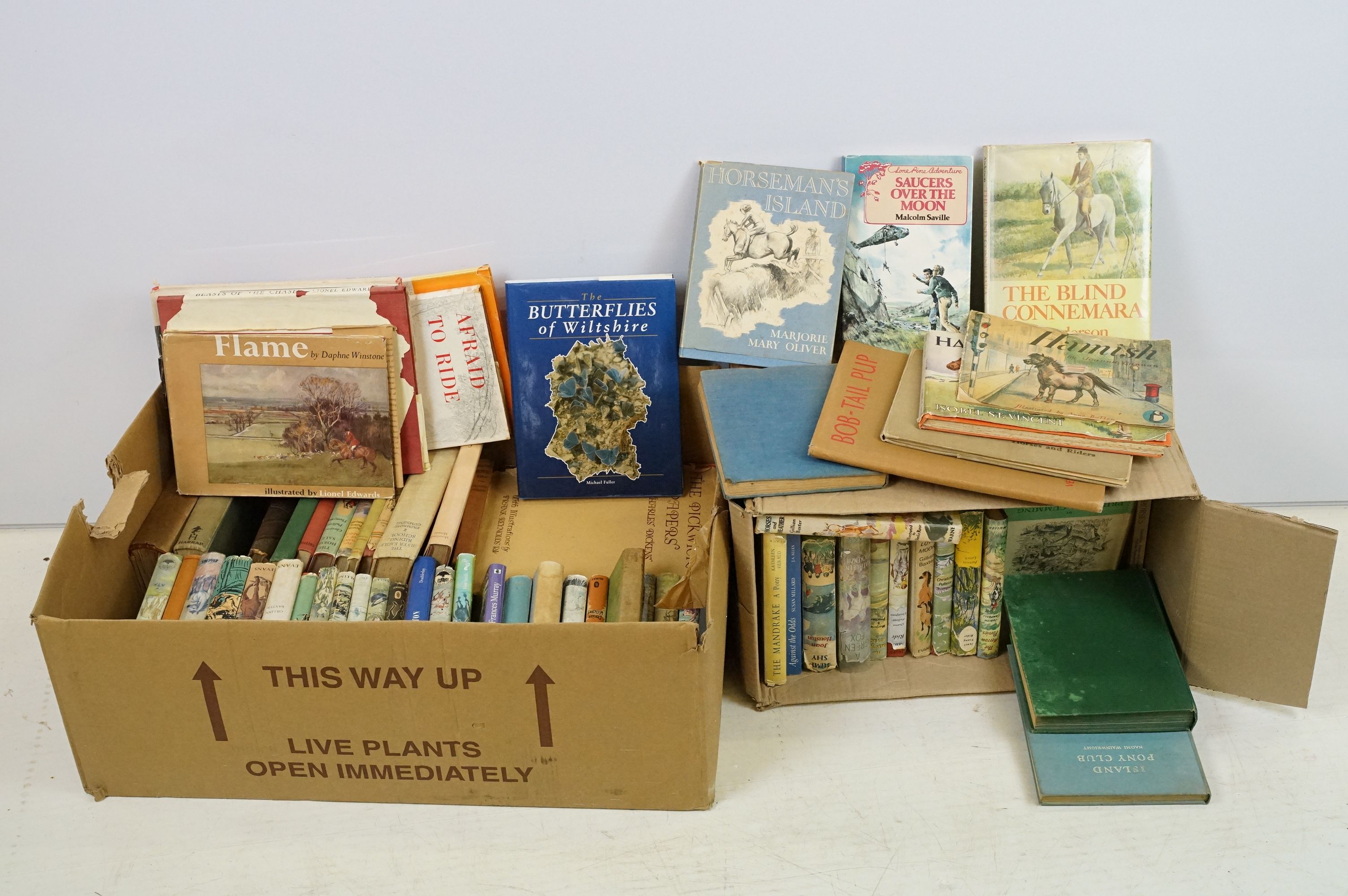 Books - A large collection of hardback books, mainly illustrated, to include many childrens books,