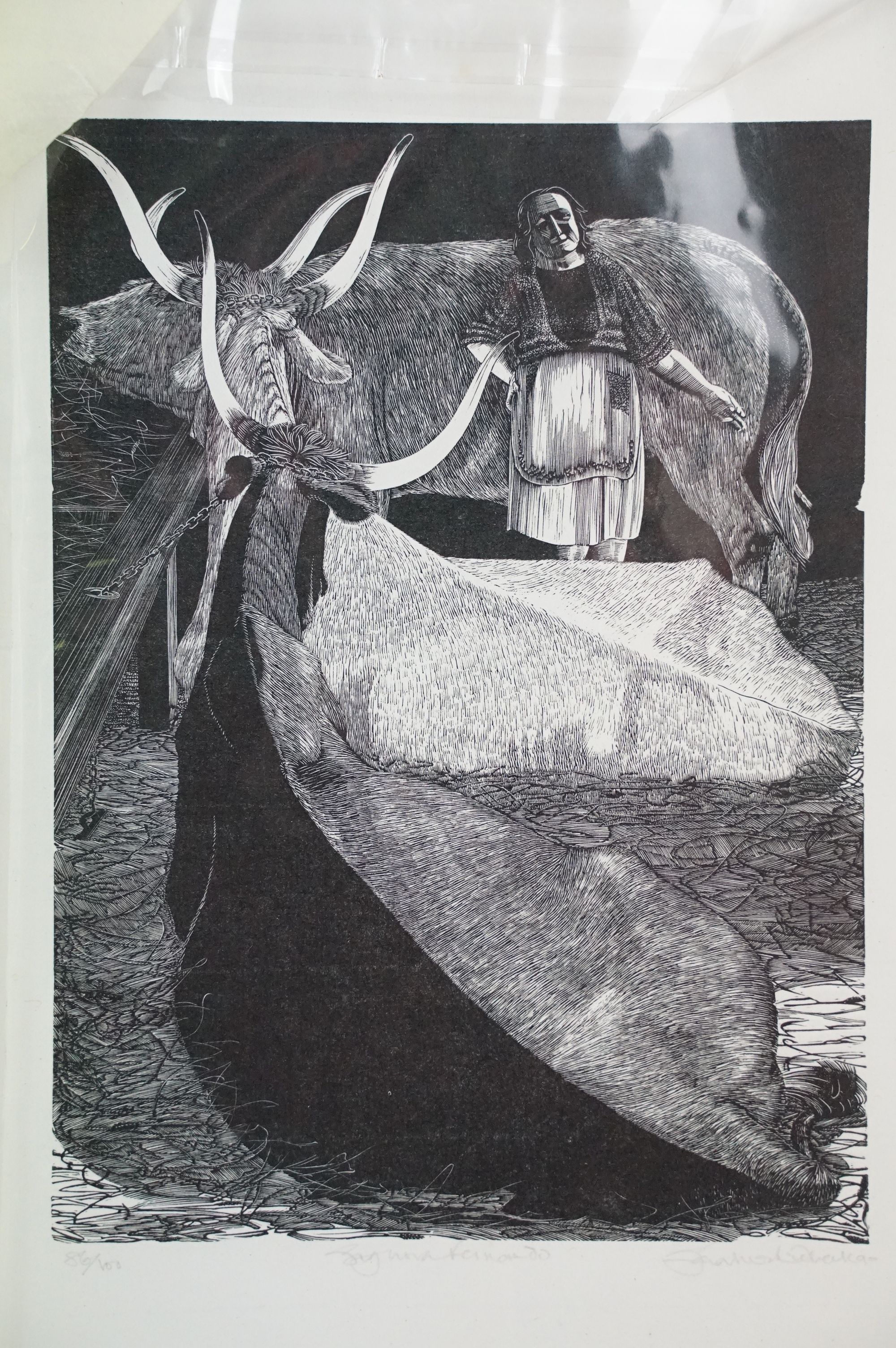 Sarah van Niekerk (1934 - 2018) - limited edition wood block print on paper titled Signora Fernando, - Image 7 of 12