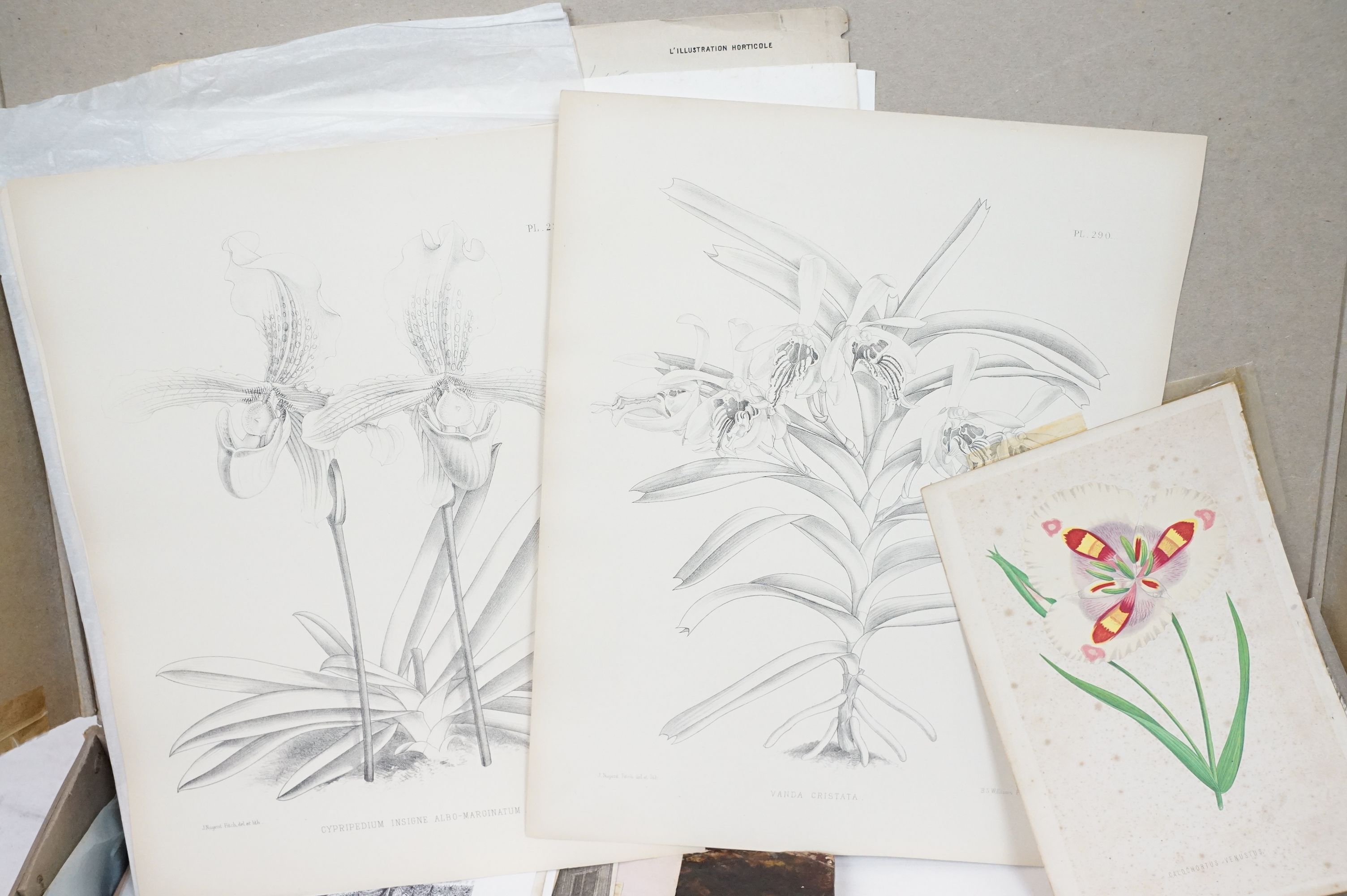 Quantity of paintings and prints to include floral illustrations, landscape painting etc. - Image 4 of 13