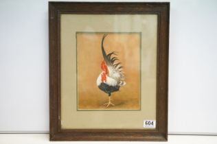 Framed oil on board study of a cockerel, 24cm x 19.5cm