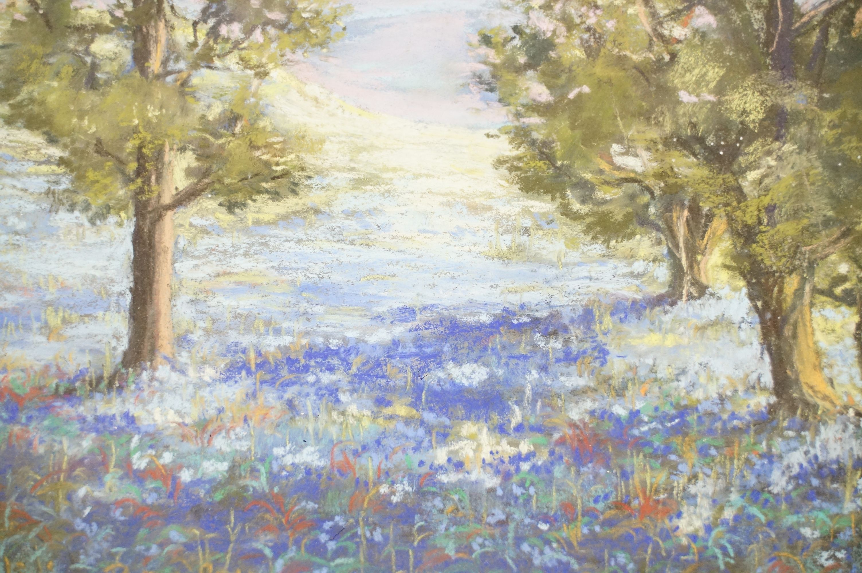 Vivien Bromley, Maytime in The Malverns, pastel, title label verso, 25.5 x 19.5cm, framed and glazed - Image 4 of 6