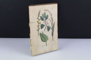 Collection of 19th Century hand coloured botanical engravings partially mounted in book.
