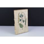 Collection of 19th Century hand coloured botanical engravings partially mounted in book.