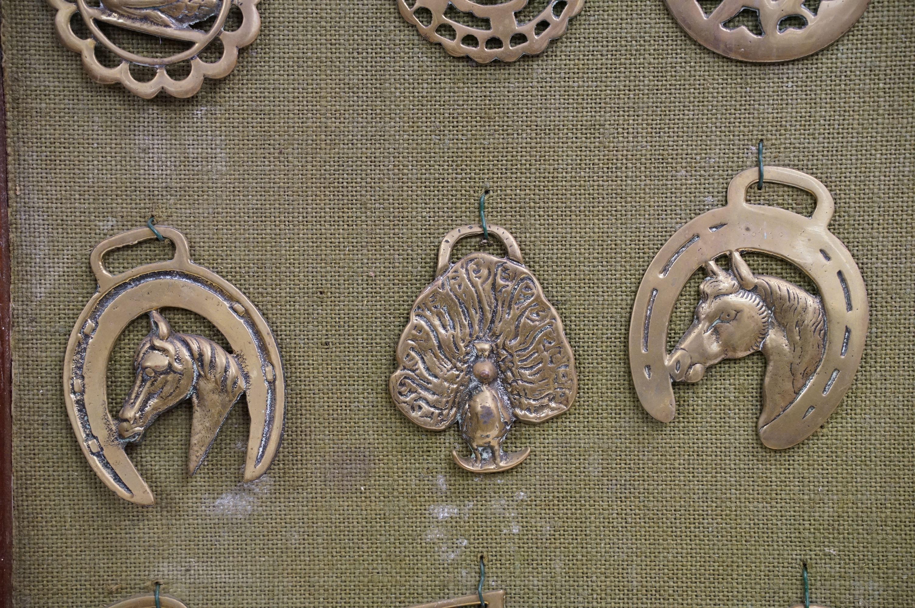 Collection of antique horse brasses mounted to canvas covered board and framed. Measures 97 x 66cm. - Image 4 of 11