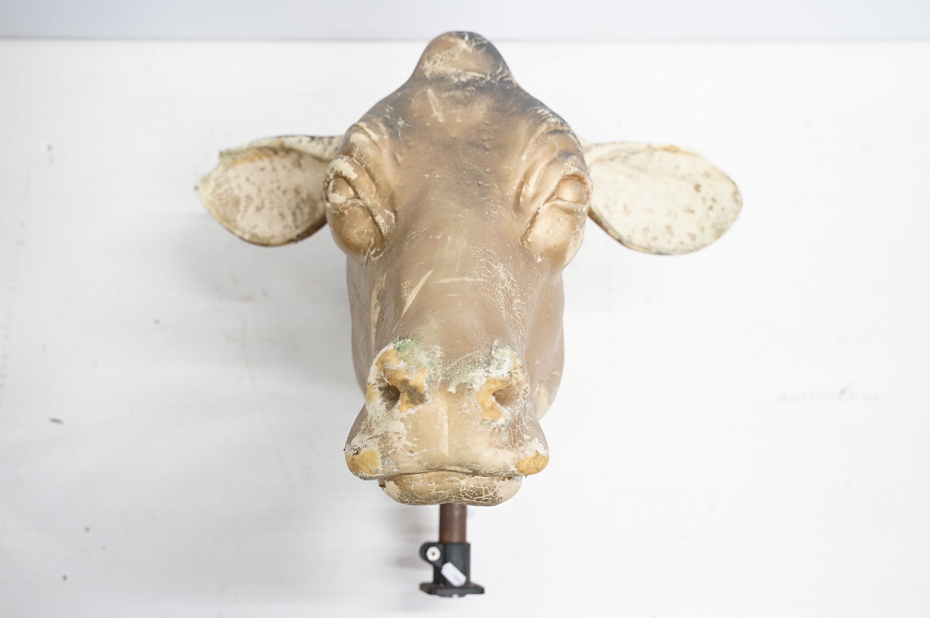 Life sized foam cows head with gold finish, attached to metal pole with plastic mount - Image 3 of 4